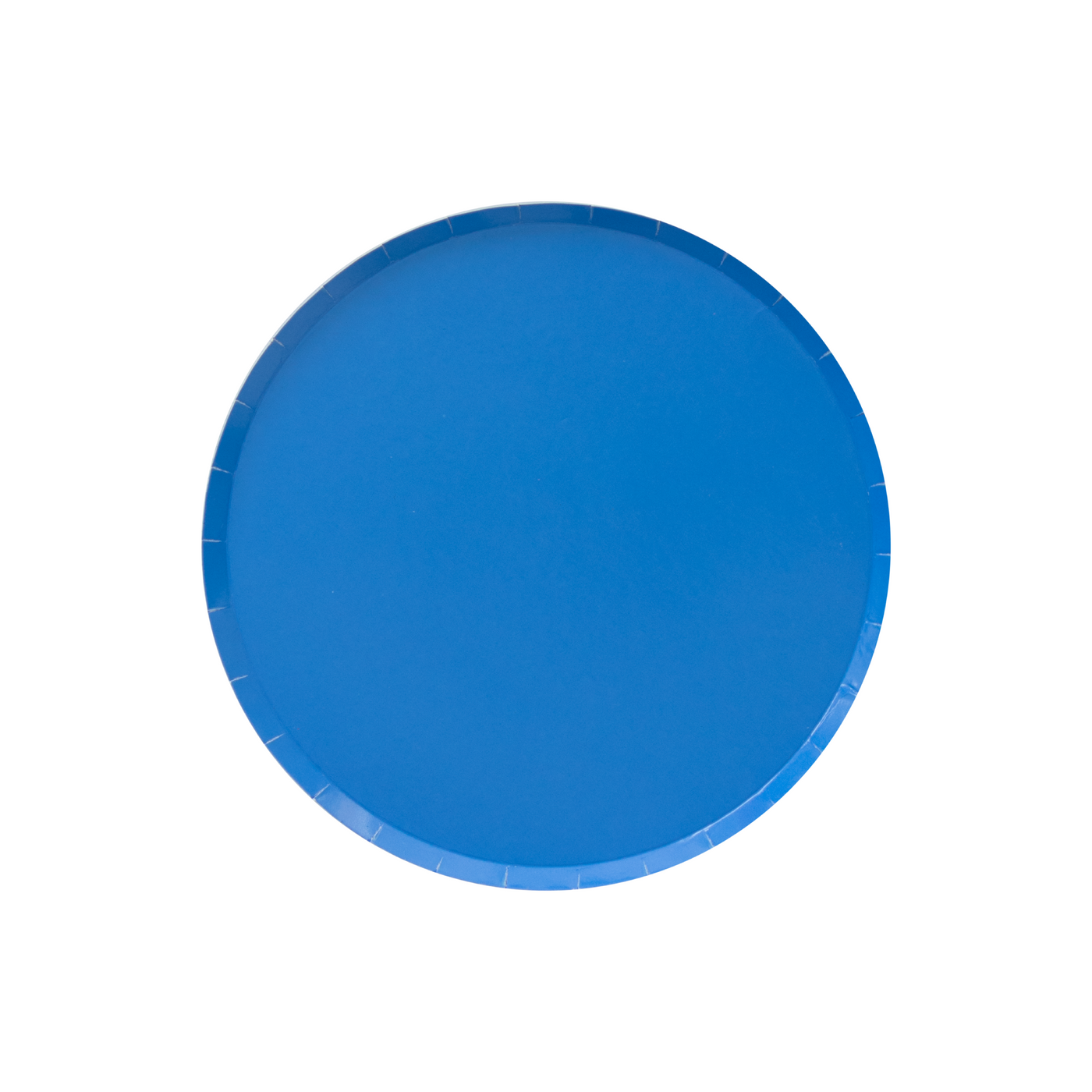 Pool Blue Small Paper Party Plates - Ralph and Luna Party Shop