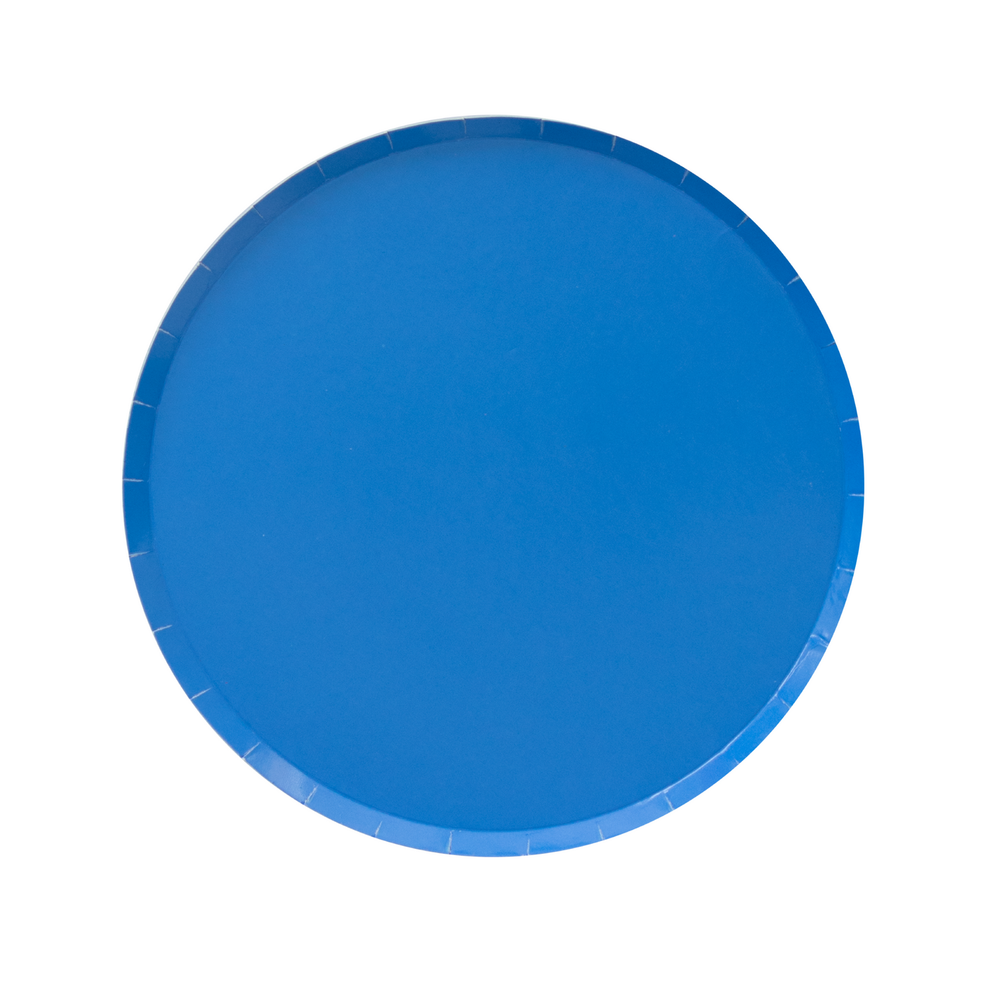 Pool Blue Large Paper Plates - Ralph and Luna Party Shop