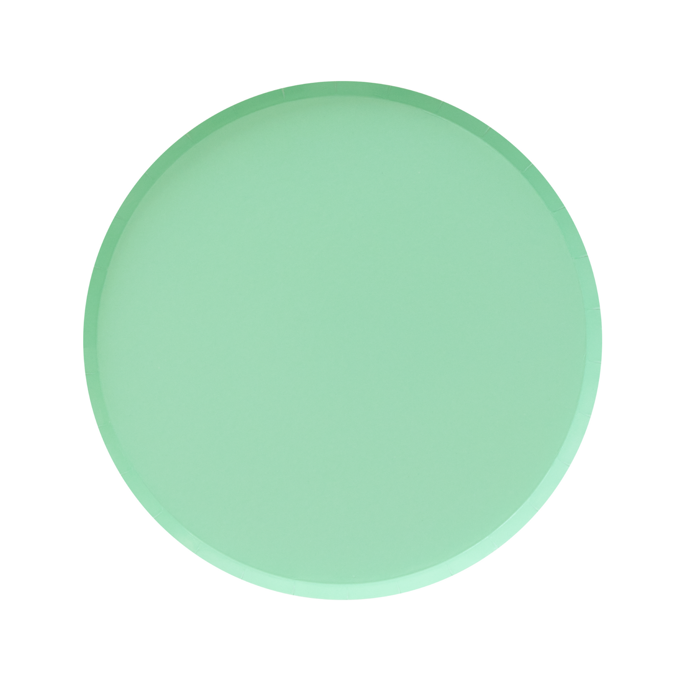 Mint Green Large Paper Plates - Ralph and Luna Party Shop