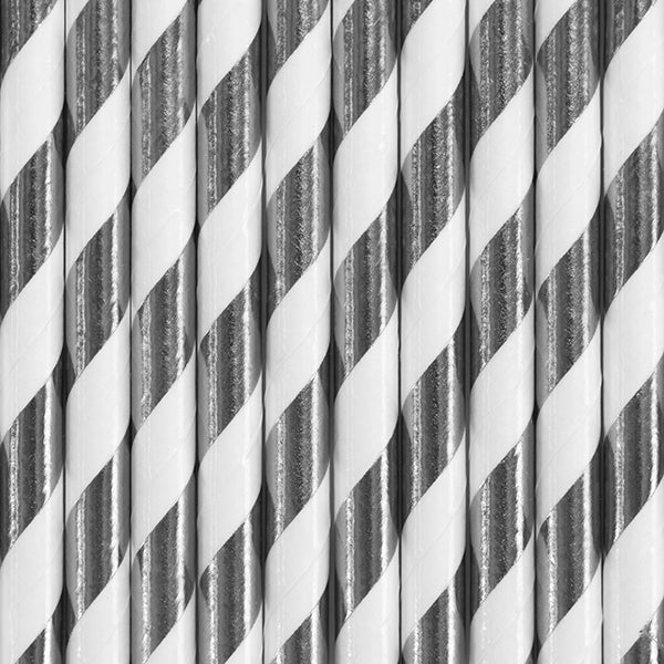 Silver Stripe Paper Straws - Ralph and Luna Party Shop