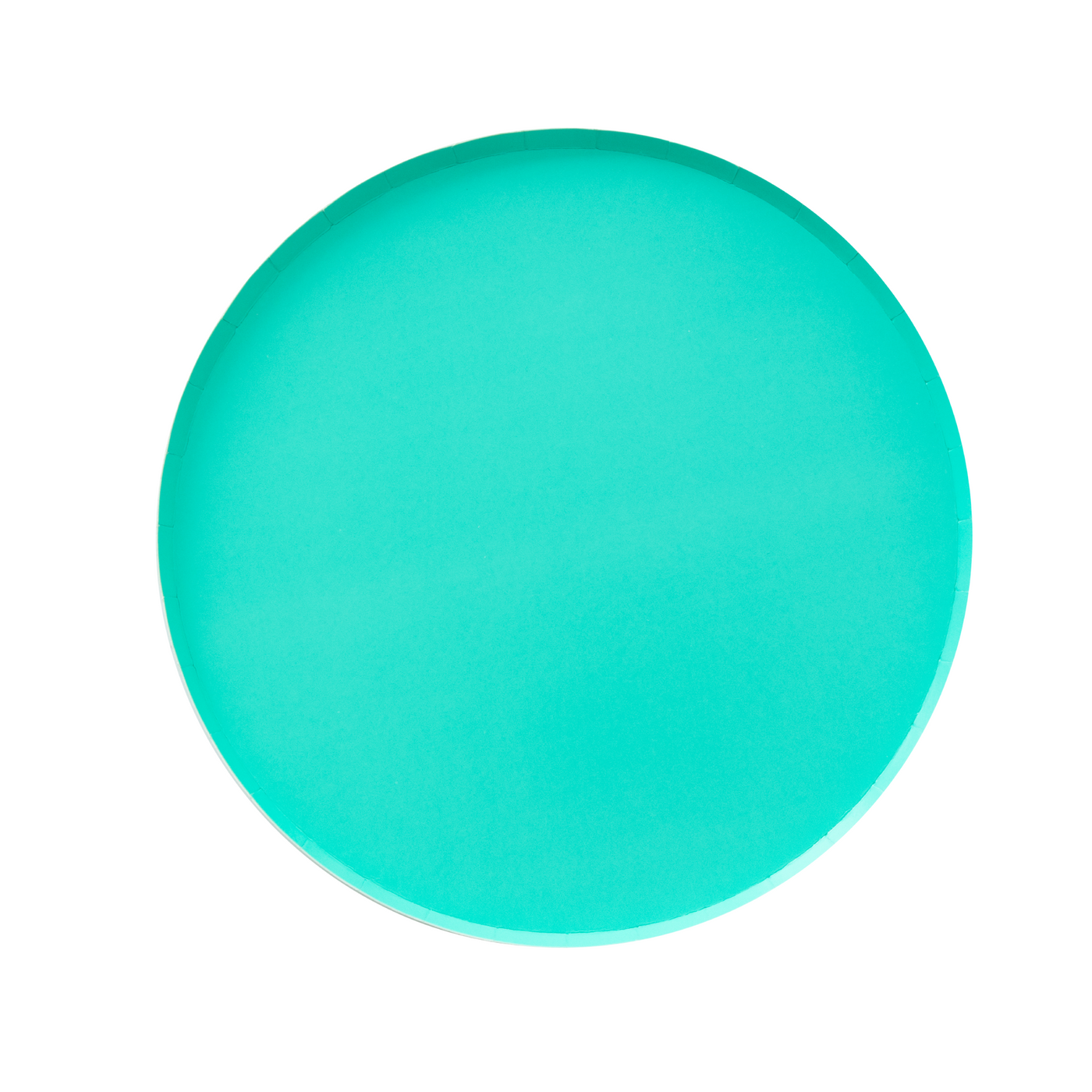 Teal Blue Large Paper Plates - Ralph and Luna Party Shop