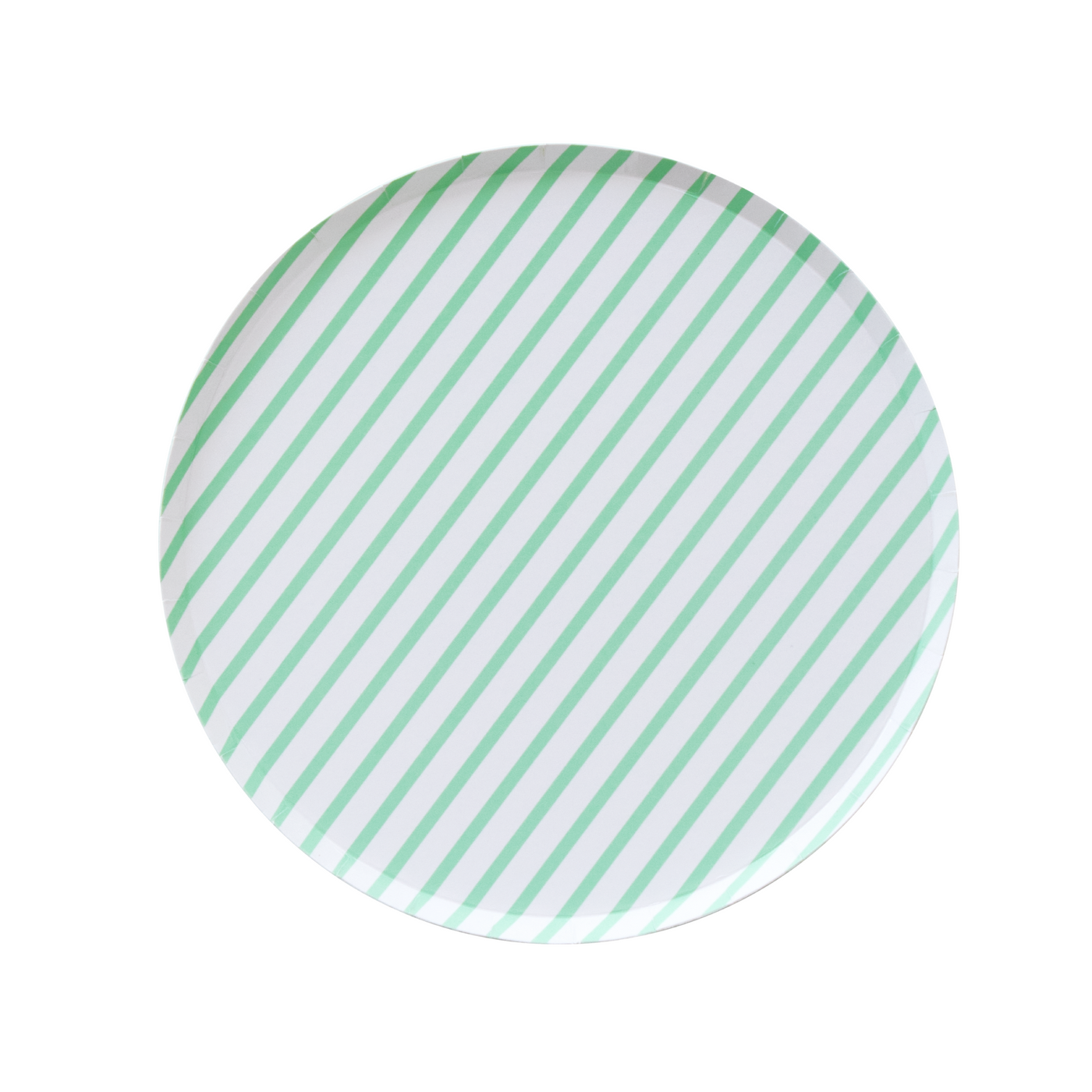Mint Green Stripes Large Paper Plates - Ralph and Luna Party Shop