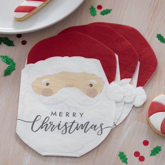 Christmas Silly Santa Napkins - Ralph and Luna Party Shop